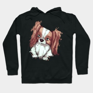 Cute papillon - dog Hoodie